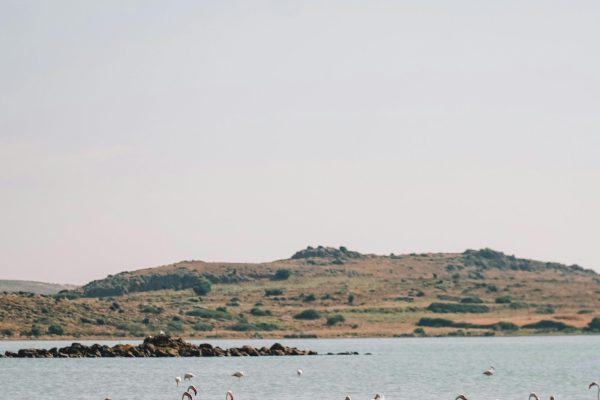 pexels-esrageziyor-45760220-8478910