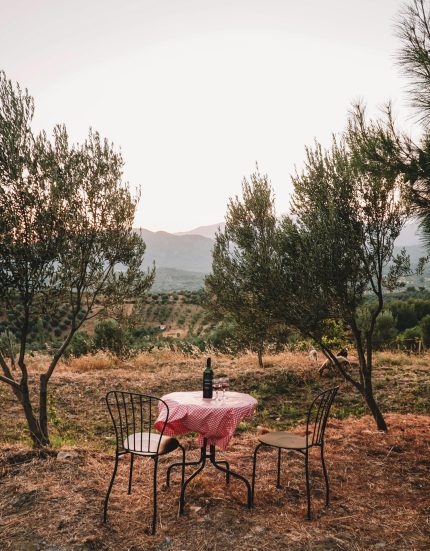 pexels-esrageziyor-45760220-9656957