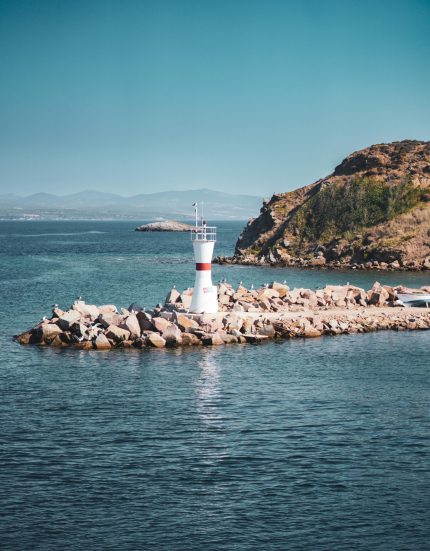 pexels-ltf0graphy-2160436774-36722596